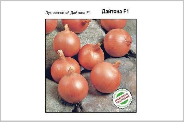 เมล็ดหัวหอม