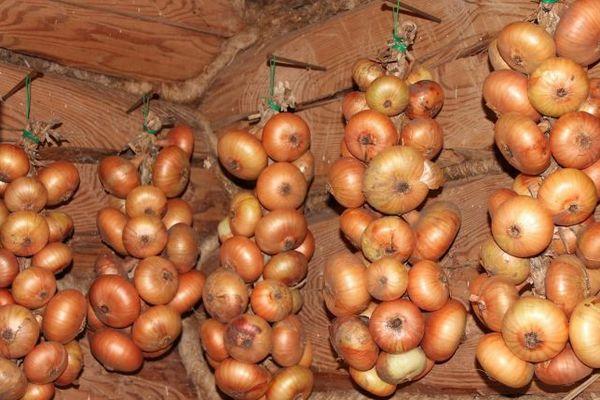 โบว์แขวน