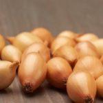 การเก็บเกี่ยวหัวหอม