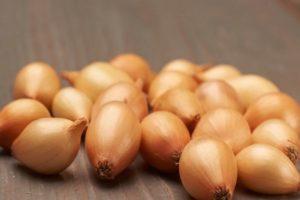 ลักษณะของหัวหอมพันธุ์เฮอร์คิวลิส การเพาะปลูกและการเก็บเกี่ยว