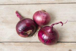 คำอธิบายหัวหอมเรดบารอน คำแนะนำการปลูก และการเก็บเกี่ยว