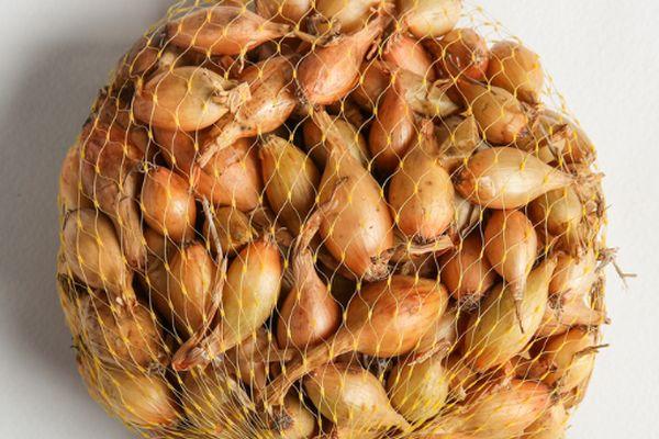 หัวหอมในตาข่าย