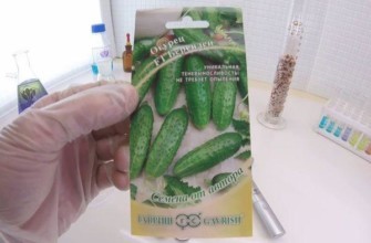 เมล็ดพันธุ์หนึ่งแพ็ค