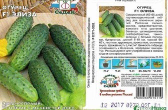 ลักษณะของแตงกวา