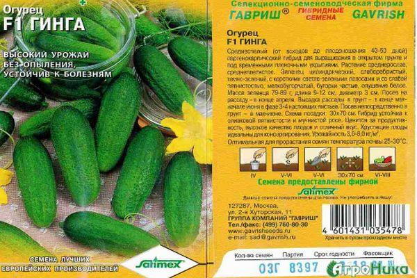 Description du concombre