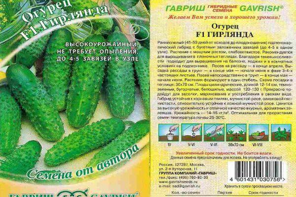 ลักษณะของแตงกวา