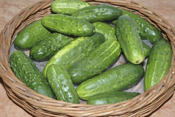 แตงกวาลูกผสม