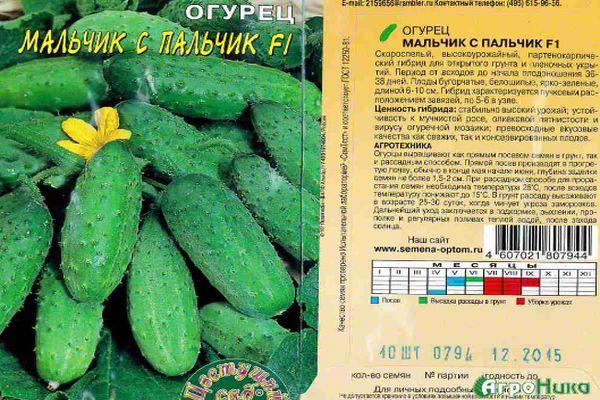 ลักษณะของแตงกวา