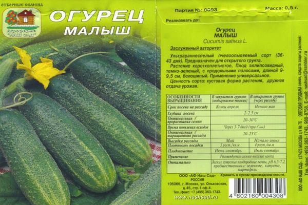 ลักษณะของแตงกวา