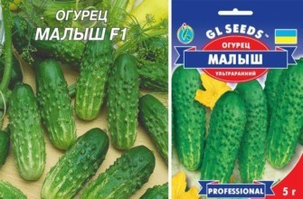 ซองเมล็ดพันธุ์