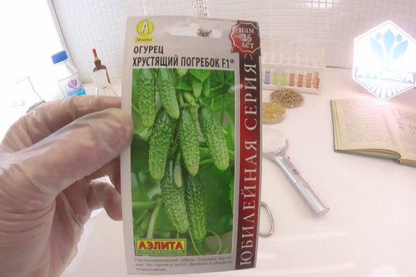 เมล็ดพันธุ์หนึ่งแพ็ค