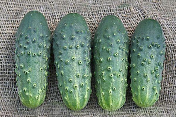 แตงกวาสี่ลูก