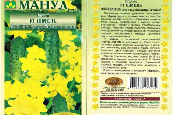 ลักษณะของแตงกวา