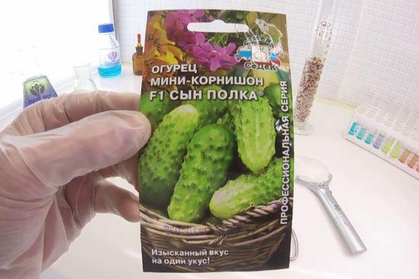 เมล็ดแตงกวา