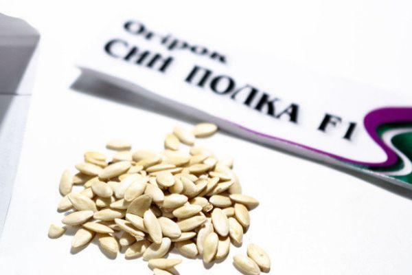 เมล็ดแตงกวา