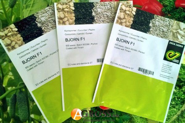 เมล็ดพันธุ์ในแพ็ค