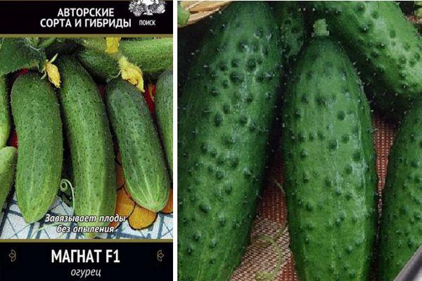 เจ้าสัว f1