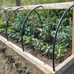 เรือนกระจกทรงโค้ง