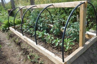 เรือนกระจกทรงโค้ง