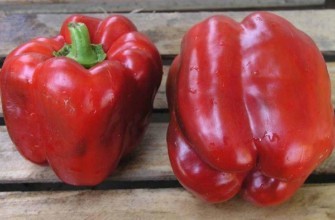 พริกสองเม็ด