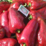 พริกหยวก