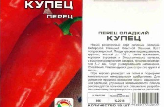 ลักษณะของพริกไทย