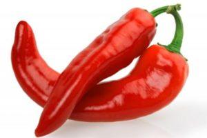 คำอธิบายพันธุ์พริก Ramiro การเพาะปลูกและการควบคุมศัตรูพืช