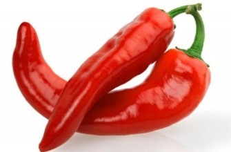 พริกแดง