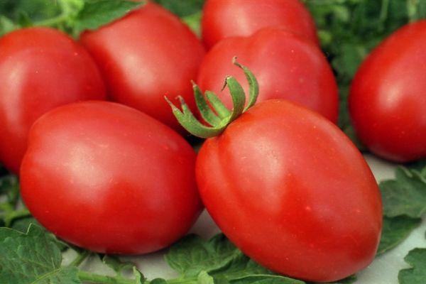 Conserverie de Barnaoul