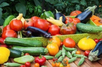 ผักต่างๆ