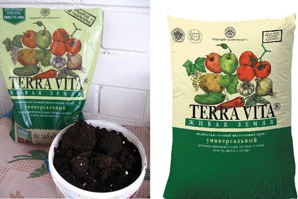 ดินเทอร์ราวิต้า