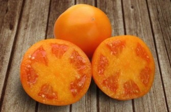 มะเขือเทศไอซาน