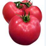 มะเขือเทศเนื้อแน่น