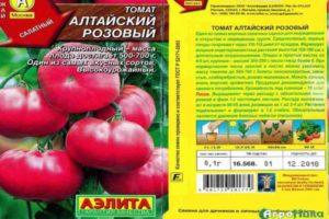 คำอธิบายมะเขือเทศพันธุ์อัลไตพิงค์ที่สุกช้าและคำแนะนำในการปลูกพันธุ์ผสม