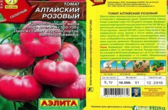 Mô tả về cà chua