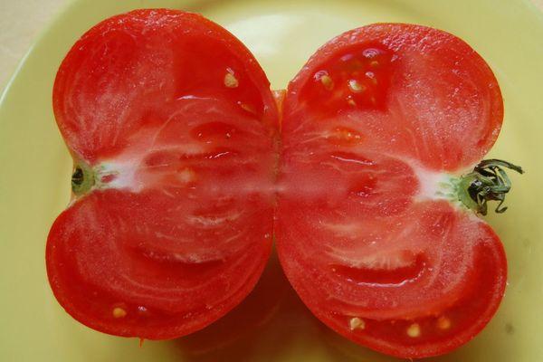 เนื้อมะเขือเทศ