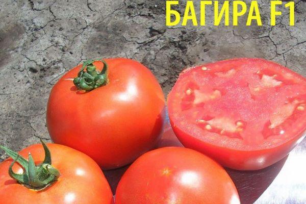 เนื้อมะเขือเทศ