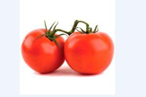 Description de la tomate hybride Bagheera, culture et lutte antiparasitaire