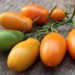 มะเขือเทศสีส้ม