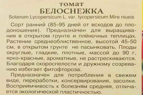 ลักษณะของมะเขือเทศพันธุ์สโนว์ไวท์ การปลูกและการดูแลรักษาต้น