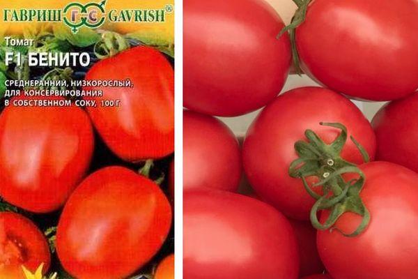 Tomates Benito