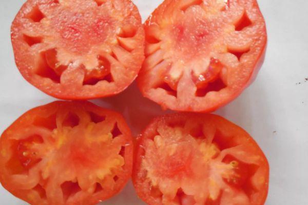 pulpe de tomate