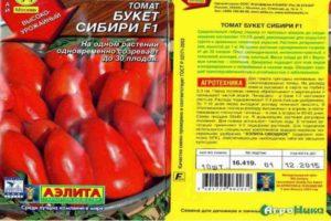 Description de la tomate déterminée Bouquet de Sibérie, culture et rendement