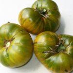 มะเขือเทศสีเขียว