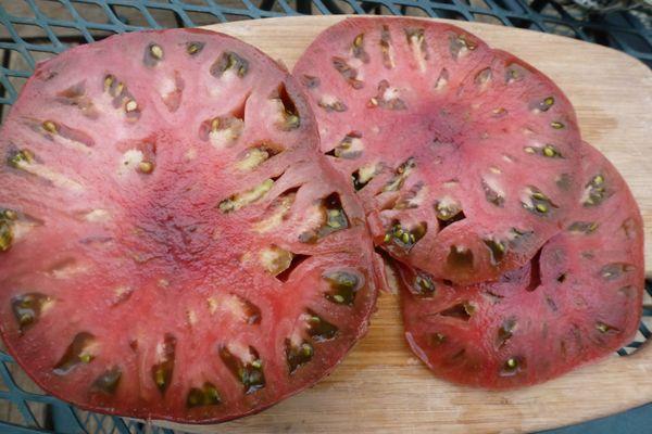 เนื้อมะเขือเทศ