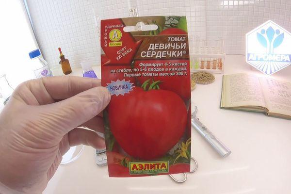 คำอธิบายเกี่ยวกับมะเขือเทศ Maiden Hearts และการปลูกในสภาพเรือนกระจก