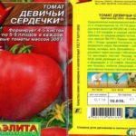 ลักษณะของมะเขือเทศ