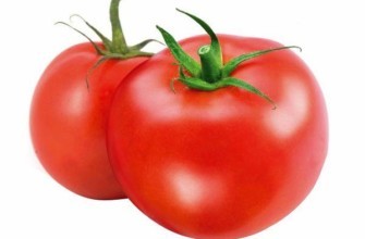 มะเขือเทศสองลูก