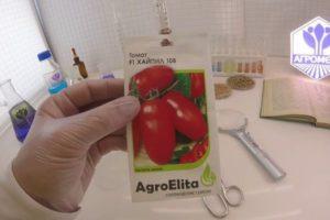 Description de la tomate hybride Hypil 108 f1, règles de culture et lutte antiparasitaire