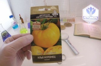 เมล็ดพันธุ์หนึ่งแพ็ค